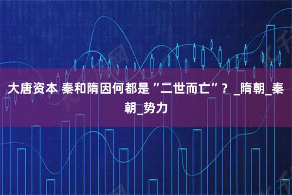 大唐资本 秦和隋因何都是“二世而亡”？_隋朝_秦朝_势力