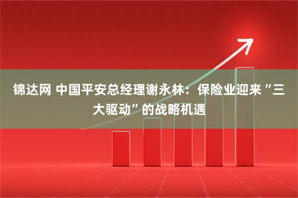 锦达网 中国平安总经理谢永林：保险业迎来“三大驱动”的战略机遇
