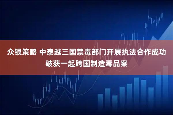 众银策略 中泰越三国禁毒部门开展执法合作成功破获一起跨国制造毒品案