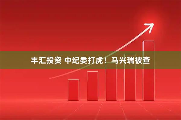 丰汇投资 中纪委打虎！马兴瑞被查