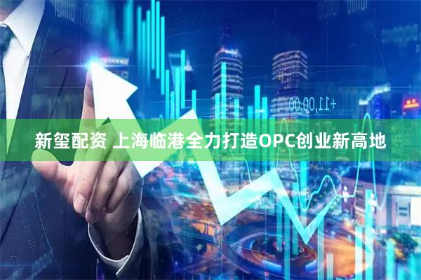 新玺配资 上海临港全力打造OPC创业新高地