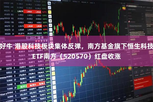 好牛 港股科技板块集体反弹，南方基金旗下恒生科技ETF南方（520570）红盘收涨